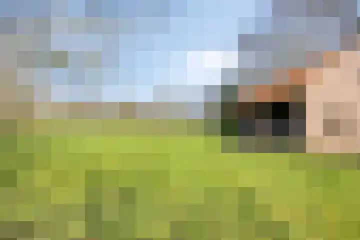 Eikenheuvelweg 16 Uden thumbnail 67