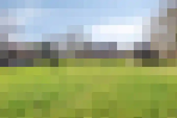 Eikenheuvelweg 16 Uden thumbnail 71