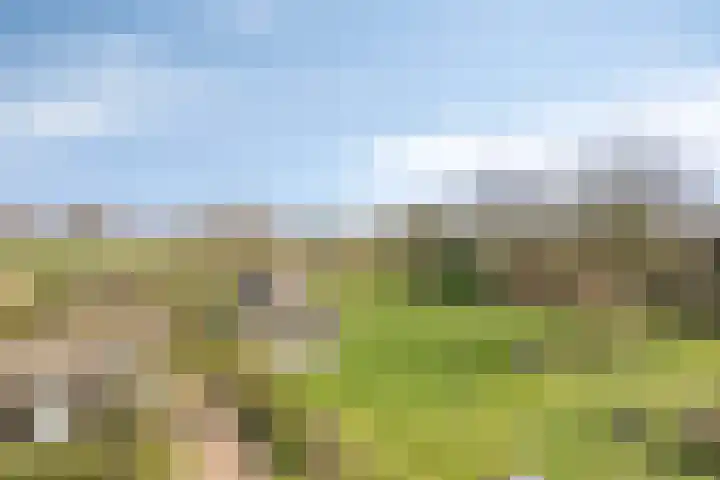 Eikenheuvelweg 16 Uden thumbnail 72