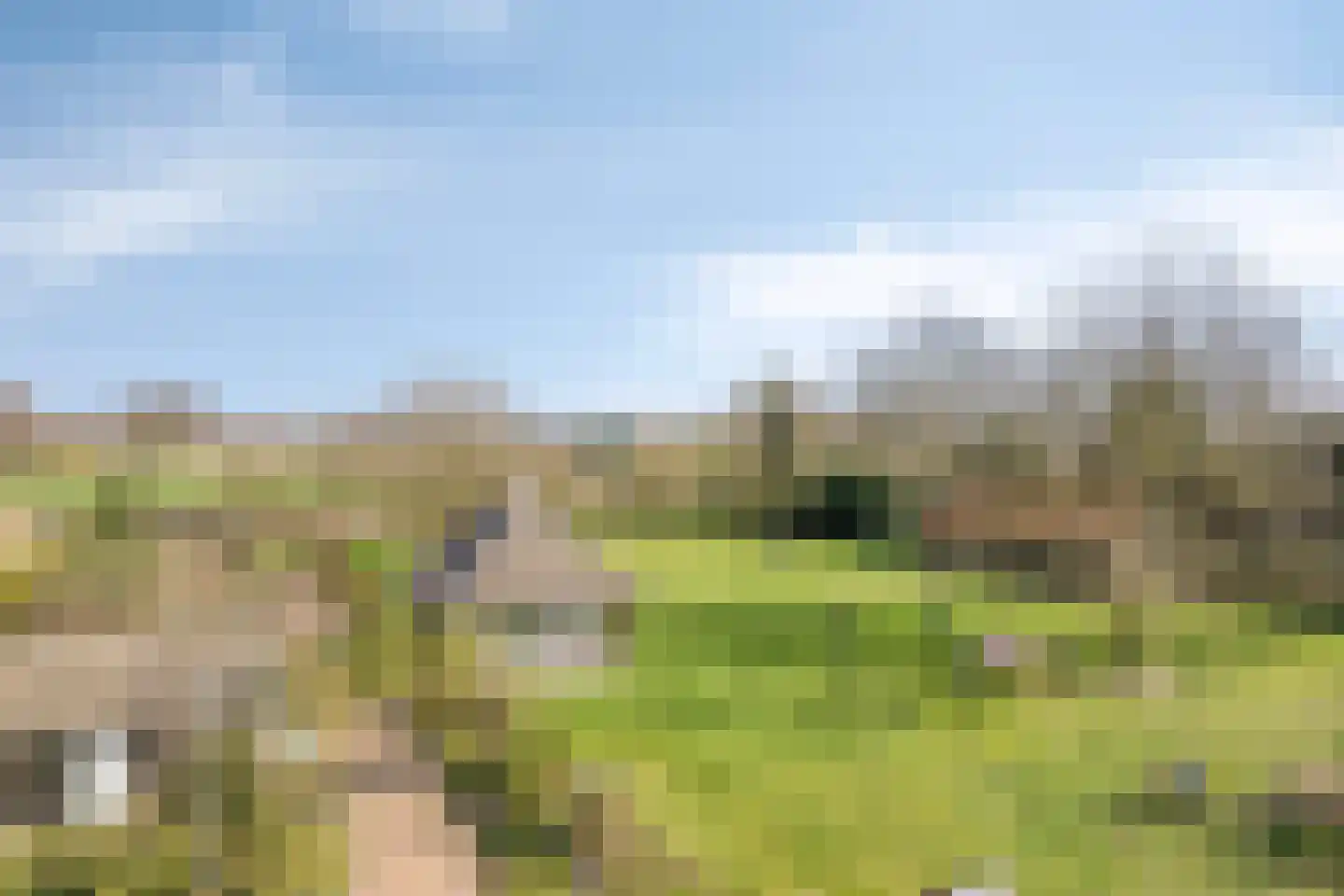 Eikenheuvelweg 16 Uden thumbnail 72