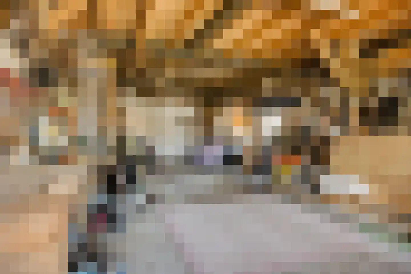Eikenheuvelweg 16 Uden thumbnail 75