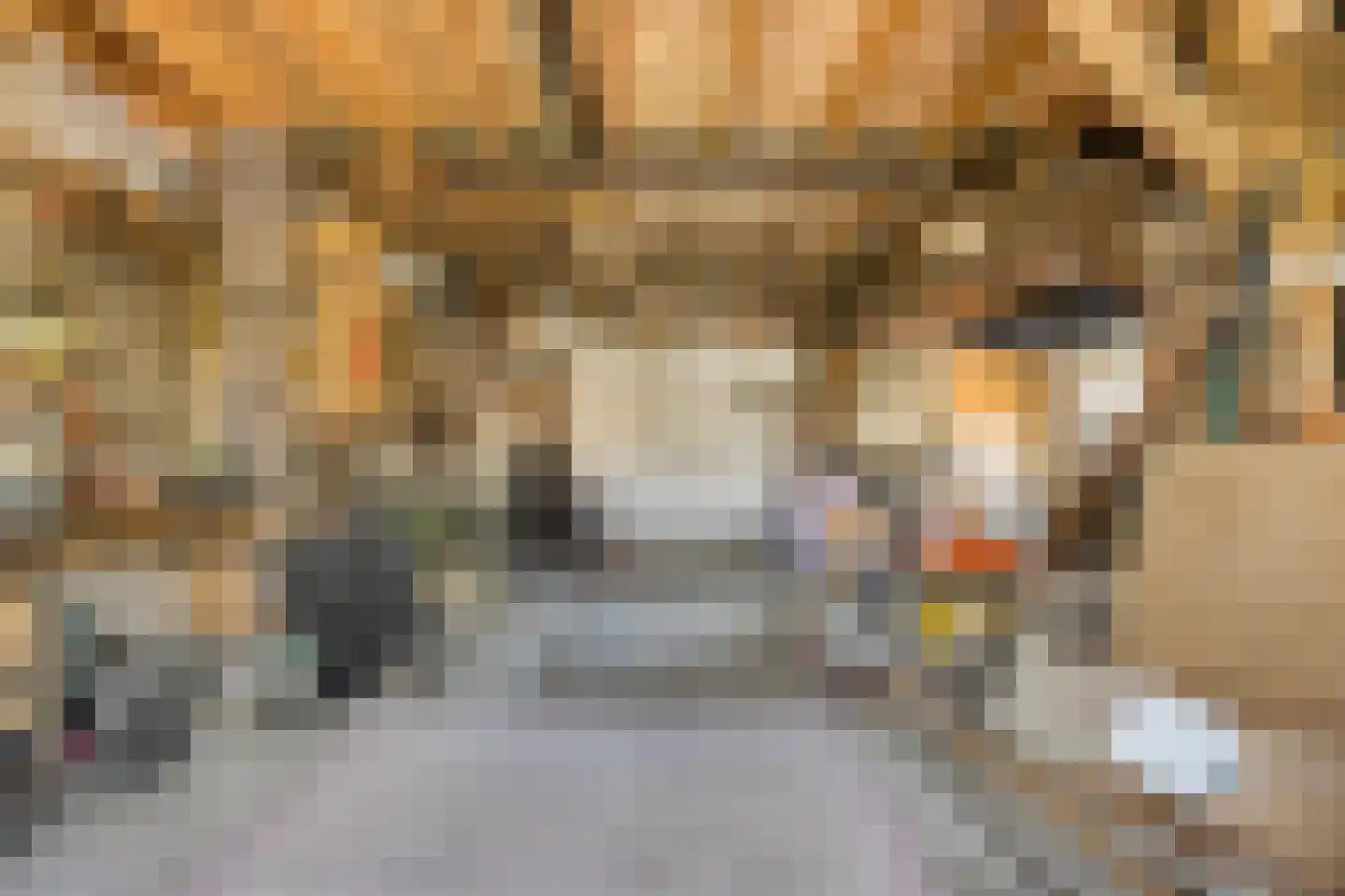 Eikenheuvelweg 16 Uden thumbnail 76