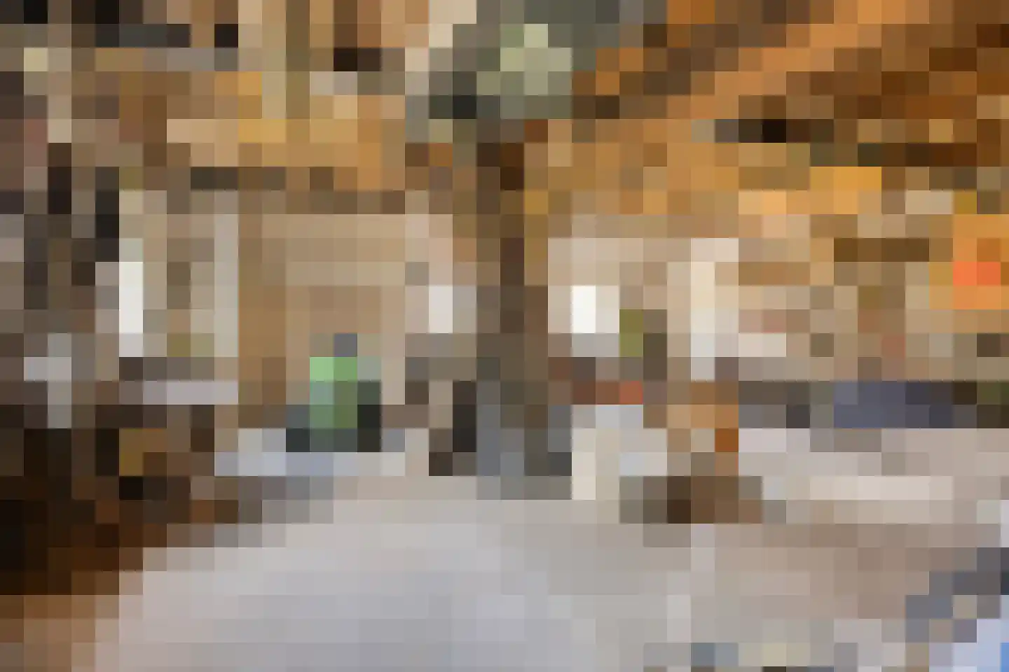 Eikenheuvelweg 16 Uden thumbnail 78