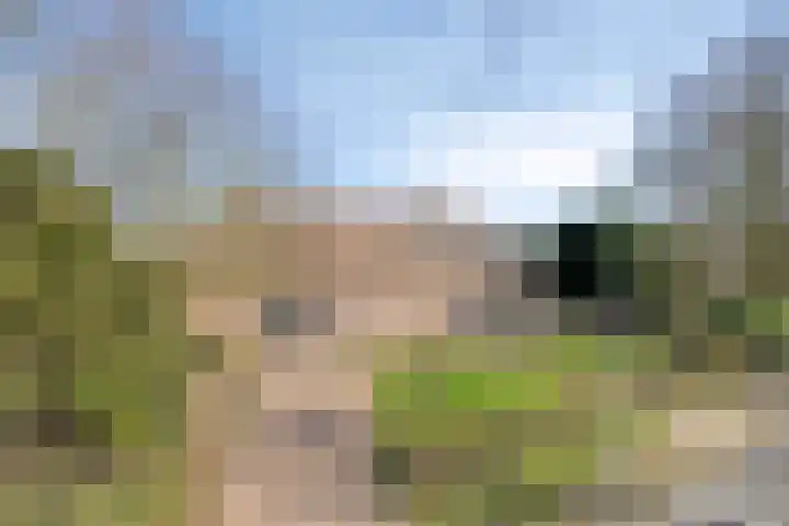 Eikenheuvelweg 16 Uden thumbnail 81
