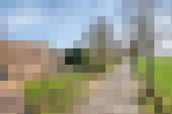 Eikenheuvelweg 16 Uden thumbnail 84