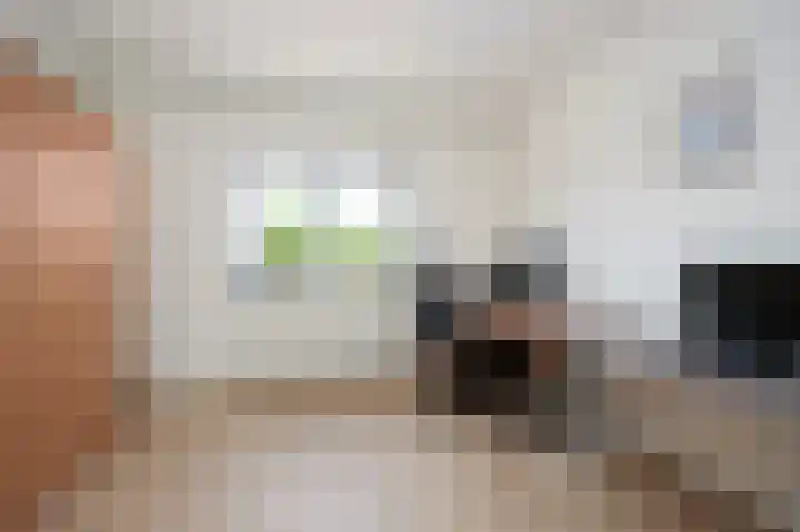 Eikenhof 12 Koewacht thumbnail 15