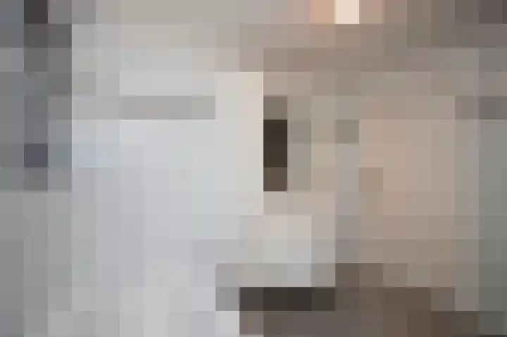 Eikenhof 12 Koewacht thumbnail 25