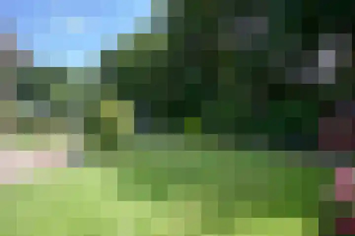 Eikenhof 12 Koewacht thumbnail 30