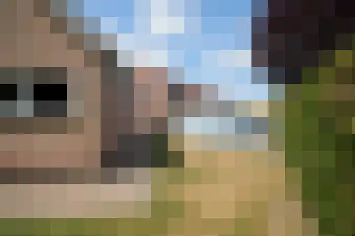 Eikenhof 12 Koewacht thumbnail 34
