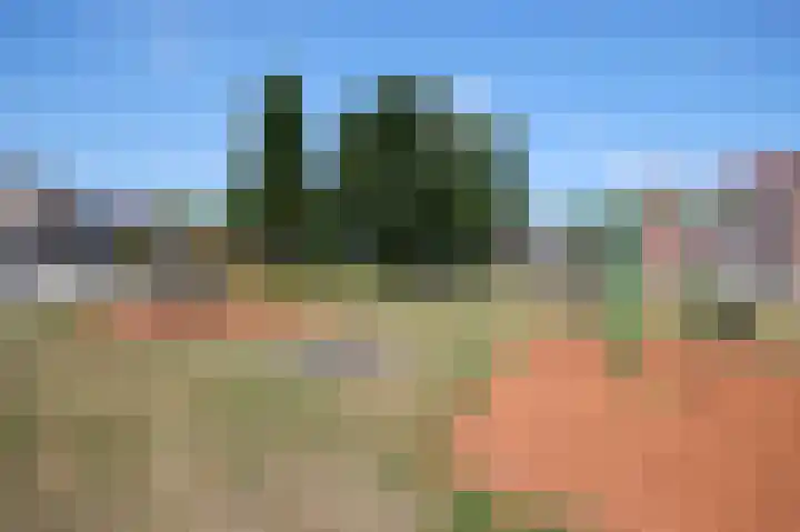 Eikenhof 12 Koewacht thumbnail 36