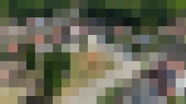 Eikenhof 12 Koewacht thumbnail 39