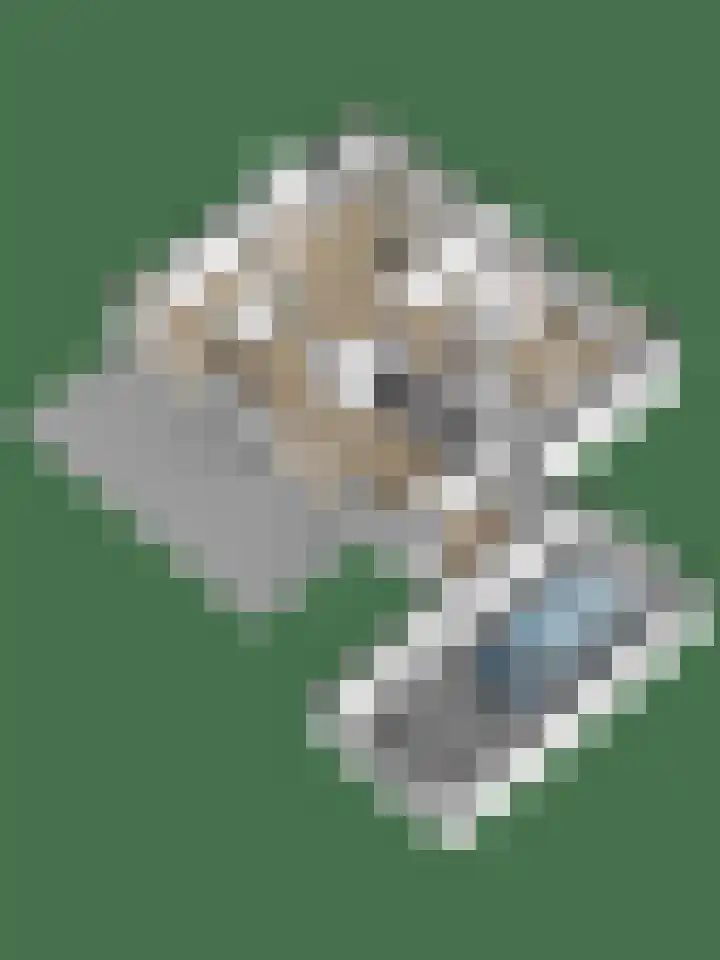 Eikenhof 12 Koewacht thumbnail 42