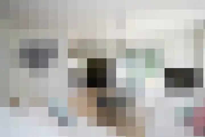 Eikenhof 12 Koewacht thumbnail 7