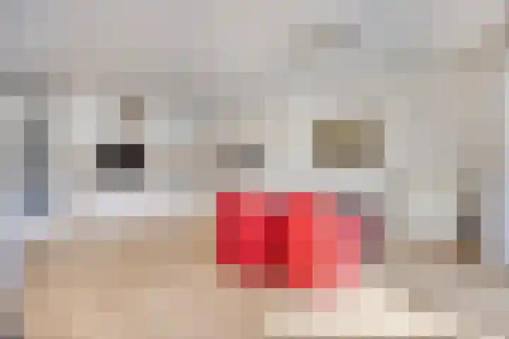 Eikenhof 17 Hoorn thumbnail 9