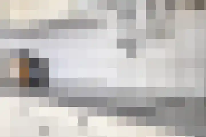 Eikenhof 21 Koewacht thumbnail 16