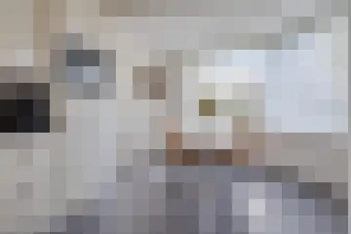 Eikenhof 21 Koewacht thumbnail 17