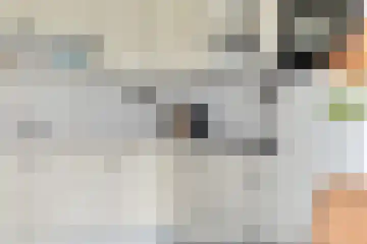 Eikenhof 21 Koewacht thumbnail 19