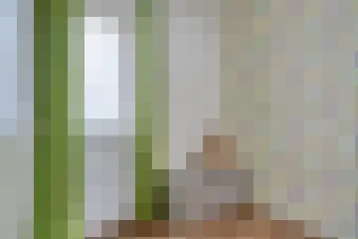 Eikenhof 21 Koewacht thumbnail 29