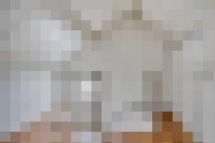 Eikenhof 21 Koewacht thumbnail 31