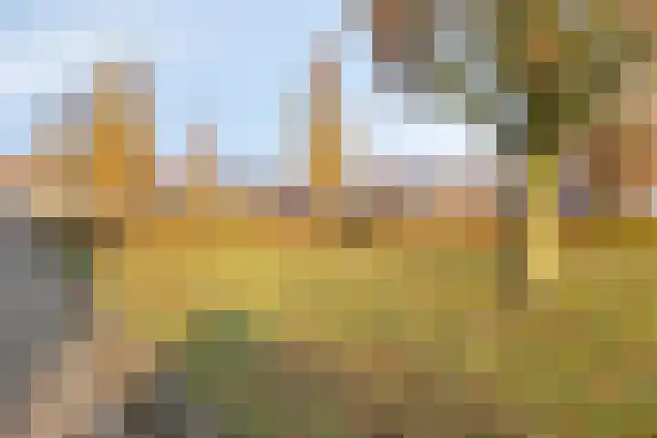 Eikenhof 21 Koewacht thumbnail 38