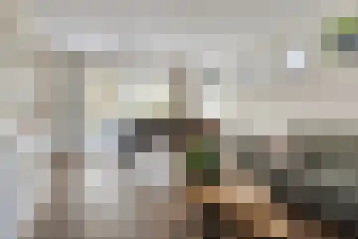 Eikenhof 21 Koewacht thumbnail 9