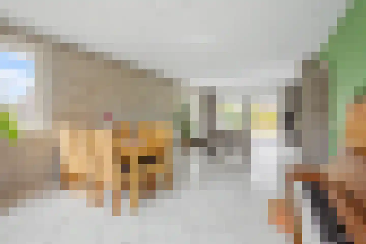 Eikenhof 27 Koewacht thumbnail 11