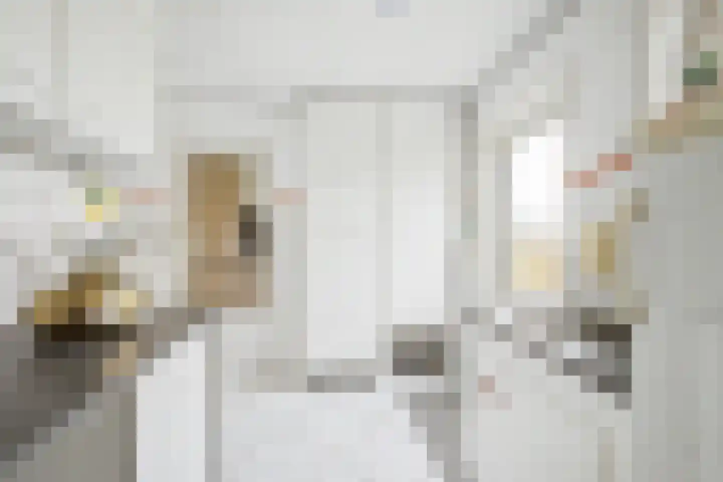 Eikenhof 27 Koewacht thumbnail 15