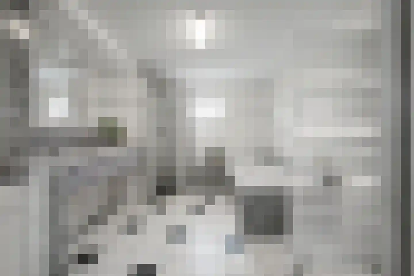 Eikenhof 27 Koewacht thumbnail 23