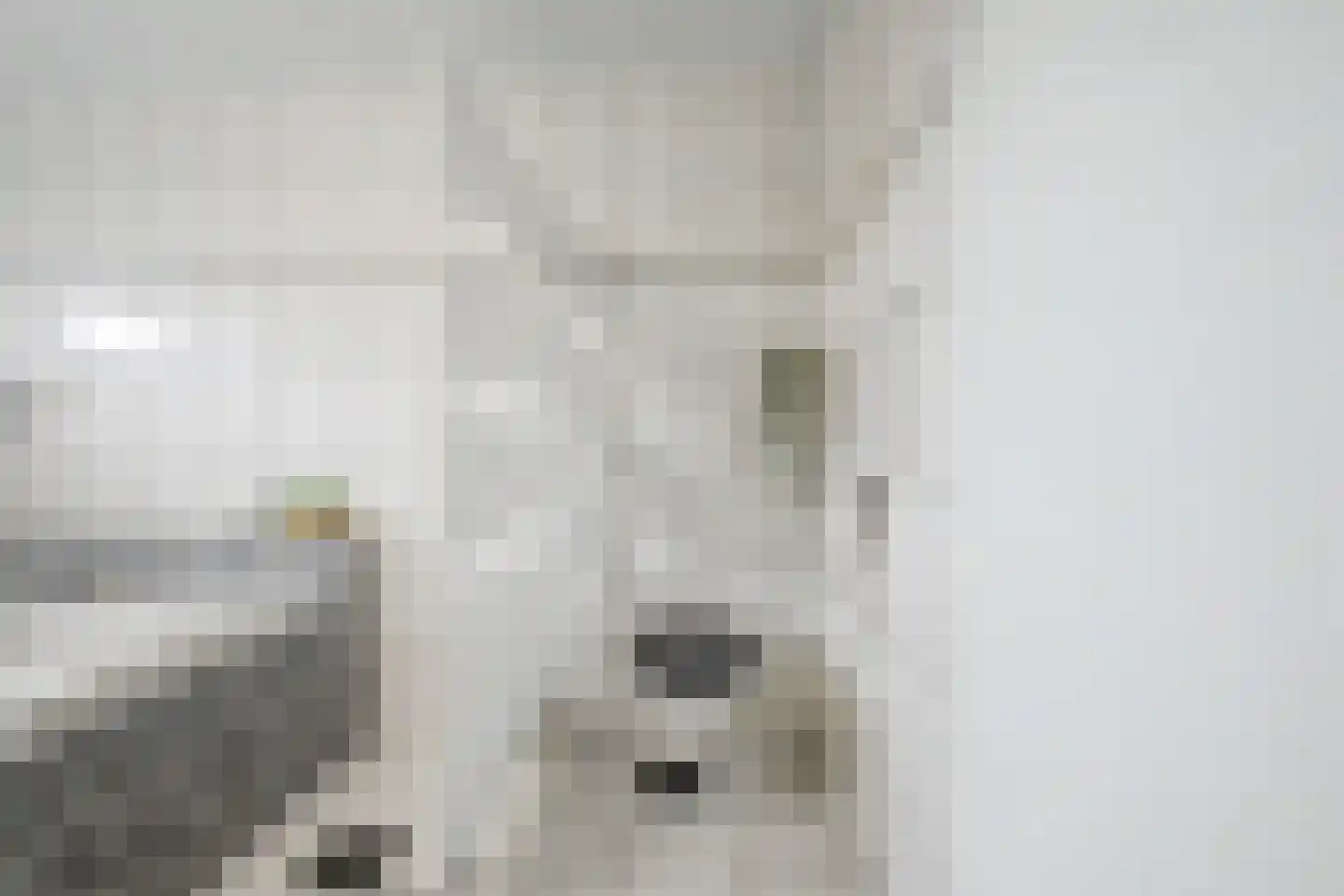 Eikenhof 27 Koewacht thumbnail 24