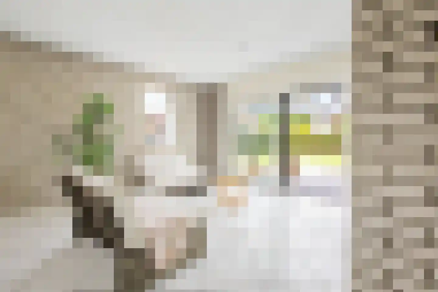 Eikenhof 27 Koewacht thumbnail 6