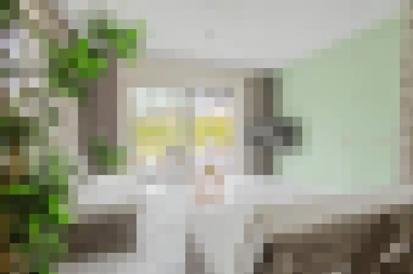 Eikenhof 27 Koewacht thumbnail 8