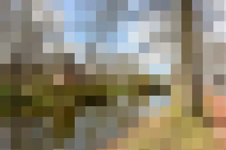 Eikenhof 33 Hoorn thumbnail 33