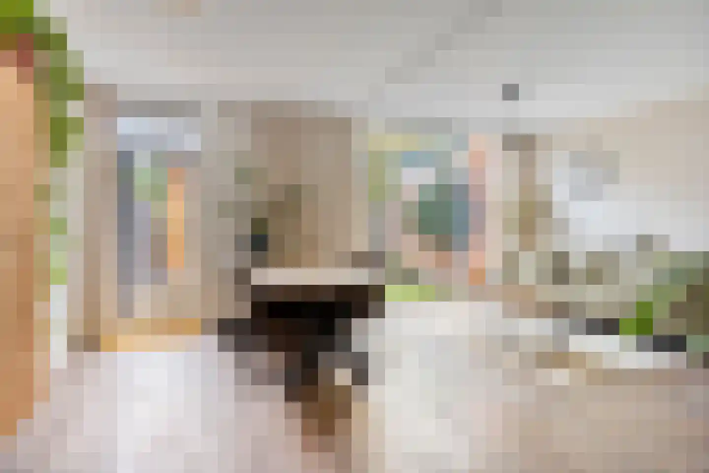 Eikenhof 43 De Lier thumbnail 17