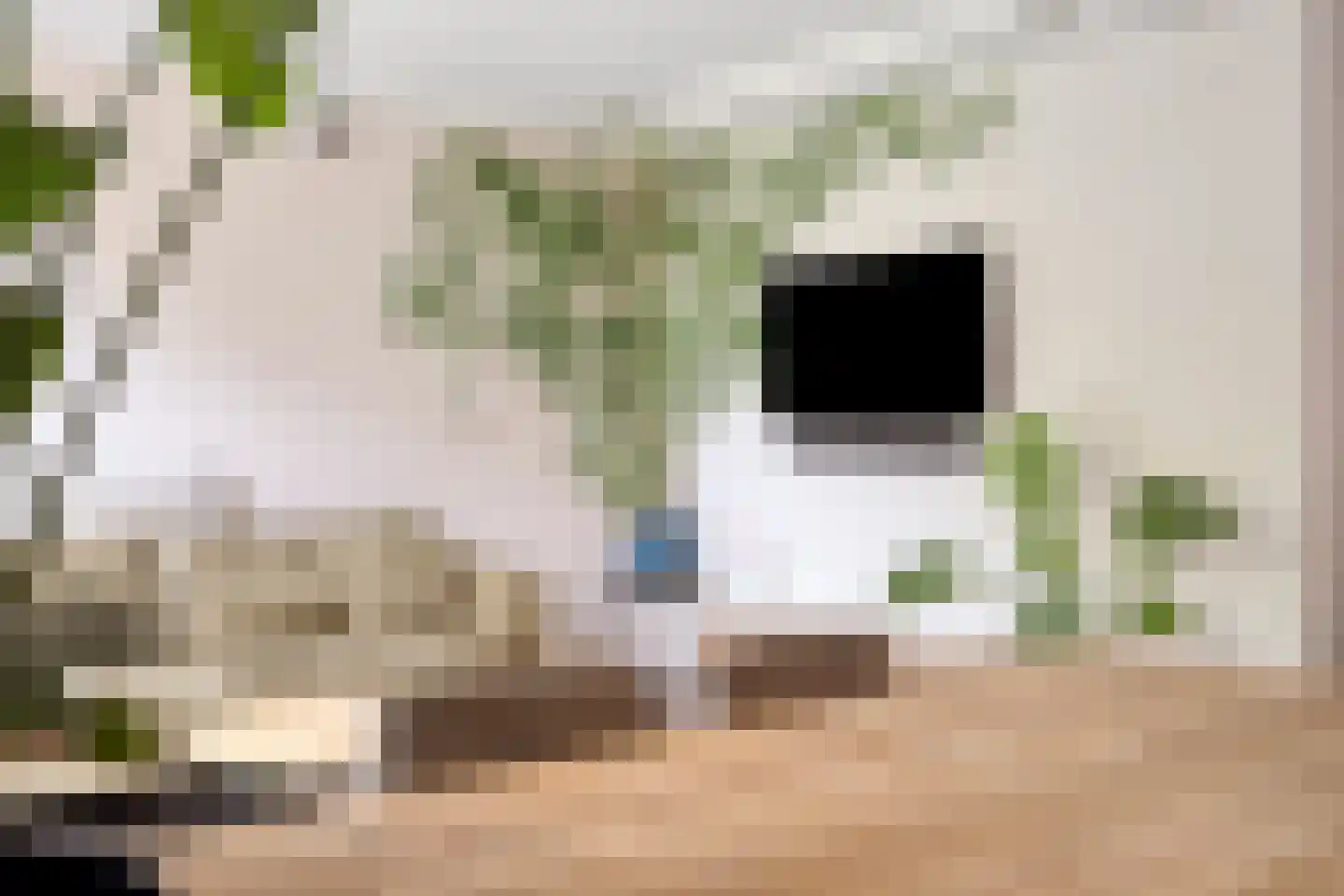 Eikenhof 43 De Lier thumbnail 20