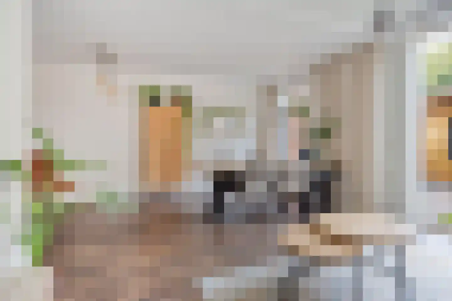 Eikenhof 43 De Lier thumbnail 21