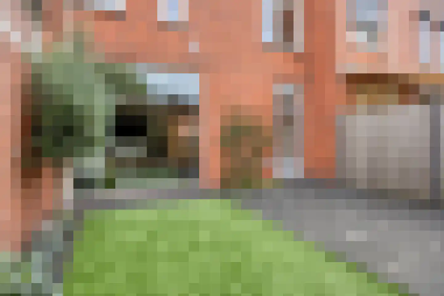 Eikenhof 43 De Lier thumbnail 23