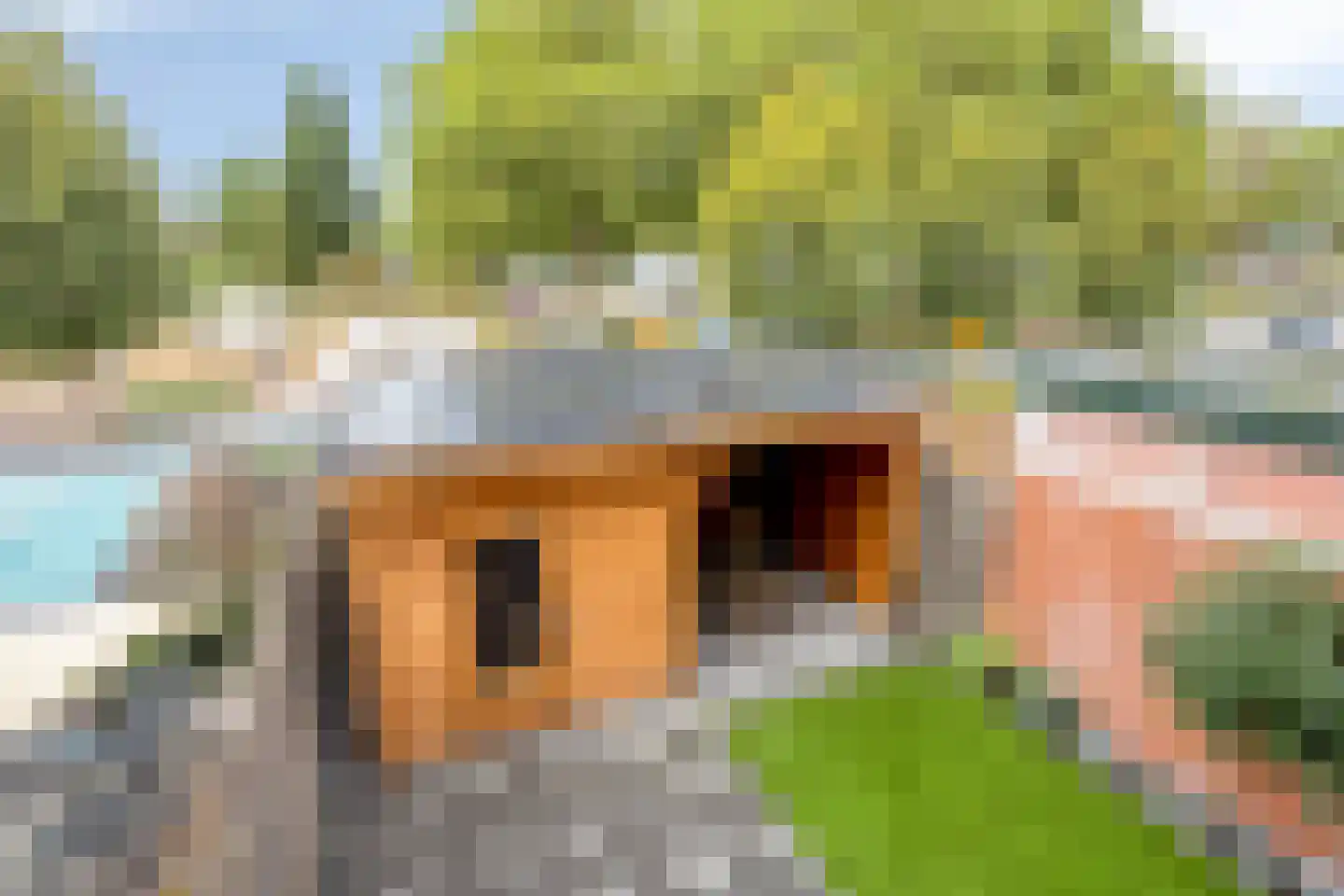 Eikenhof 43 De Lier thumbnail 33