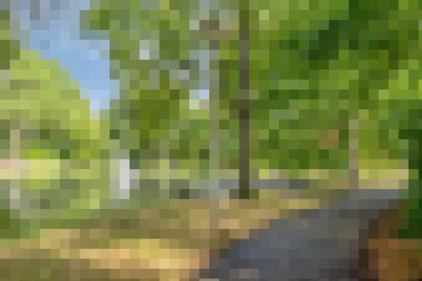 Eikenhof 43 De Lier thumbnail 42