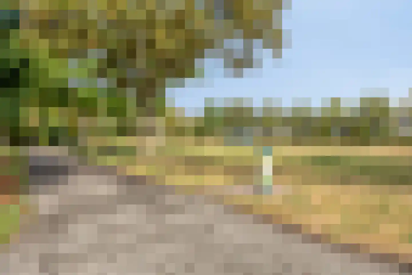 Eikenhof 43 De Lier thumbnail 46