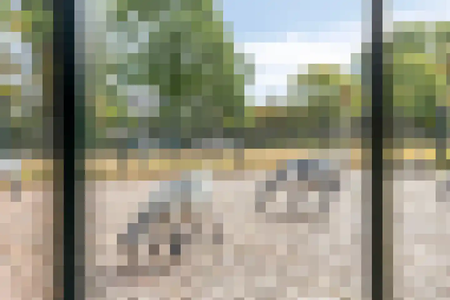 Eikenhof 43 De Lier thumbnail 47