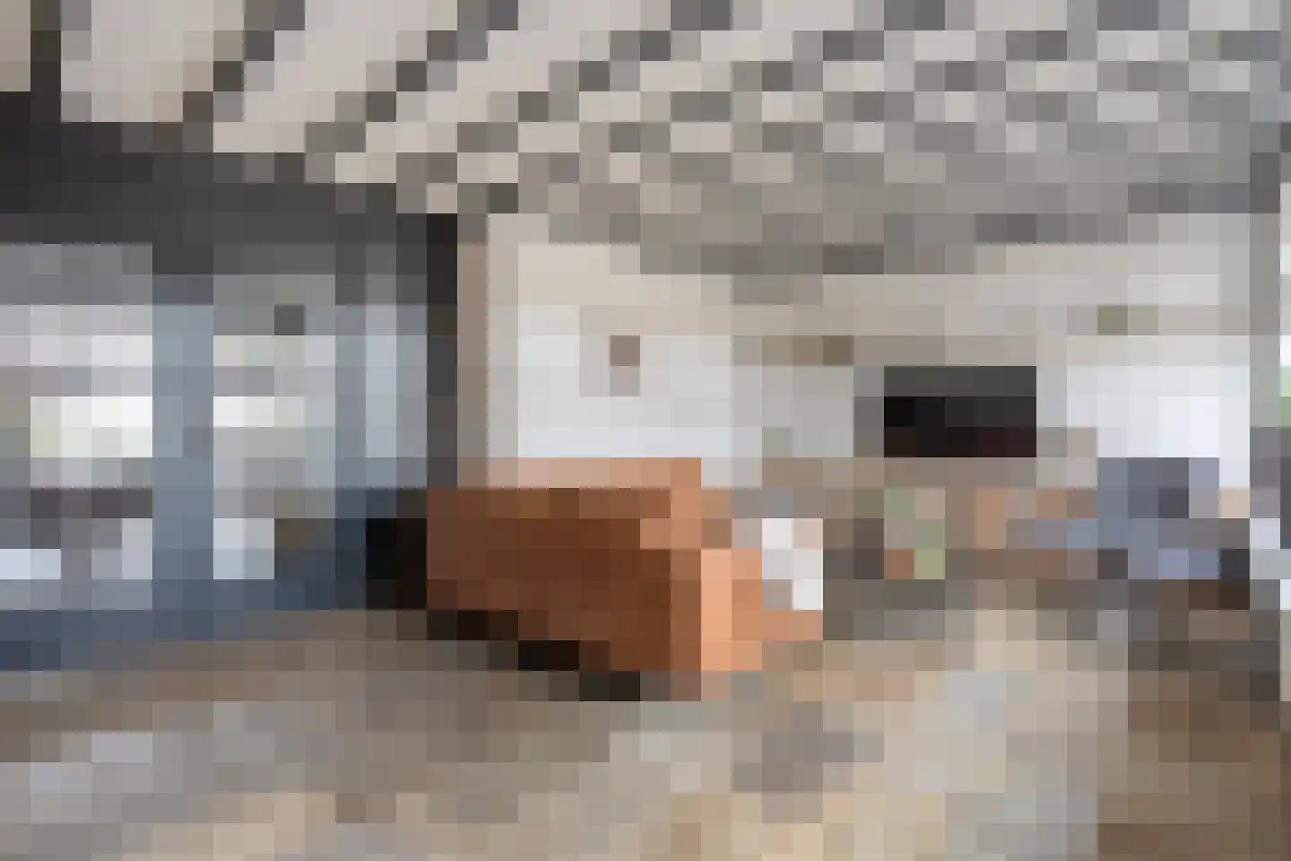 Eikenhof 6 Harbrinkhoek thumbnail 5