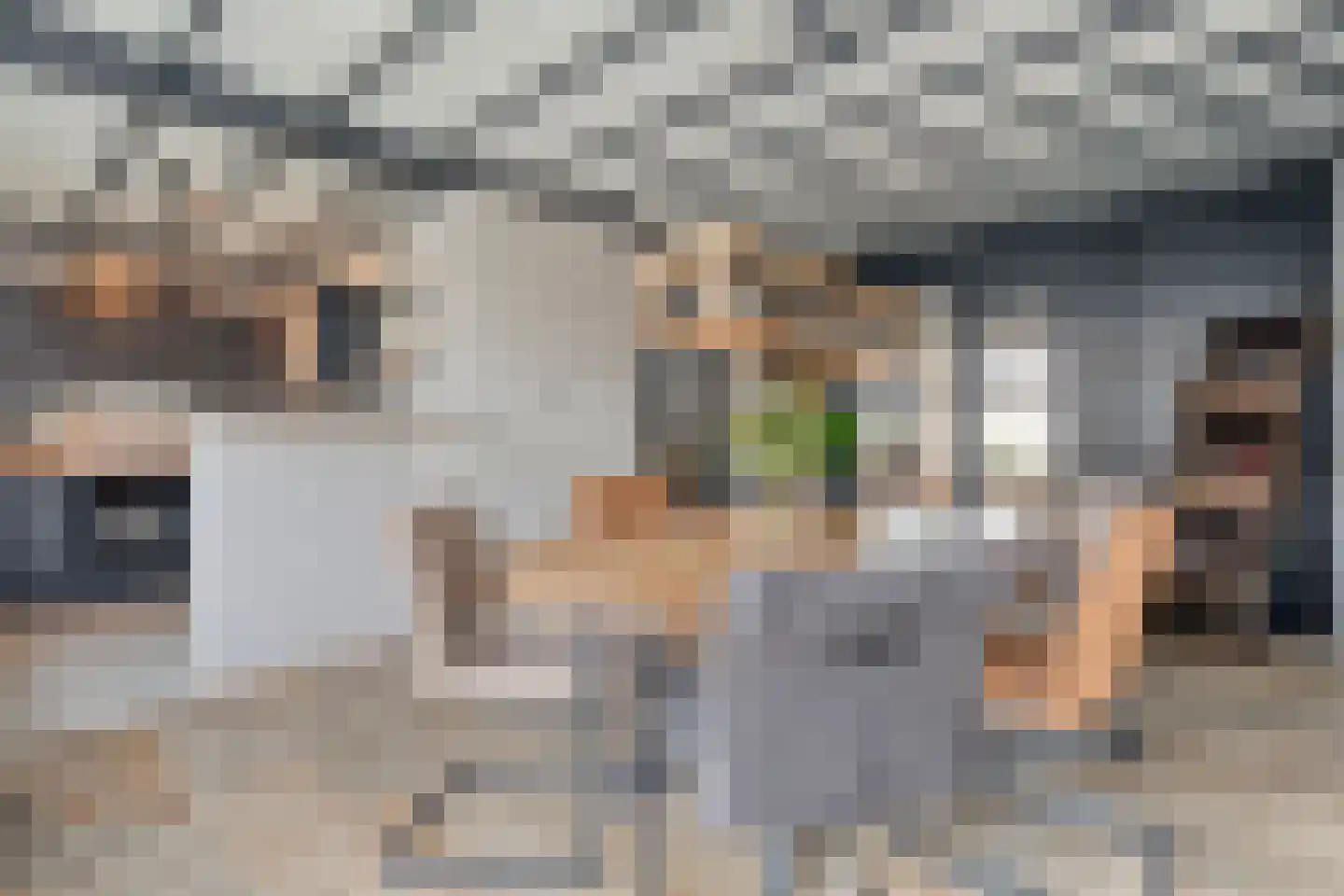 Eikenhof 6 Harbrinkhoek thumbnail 8