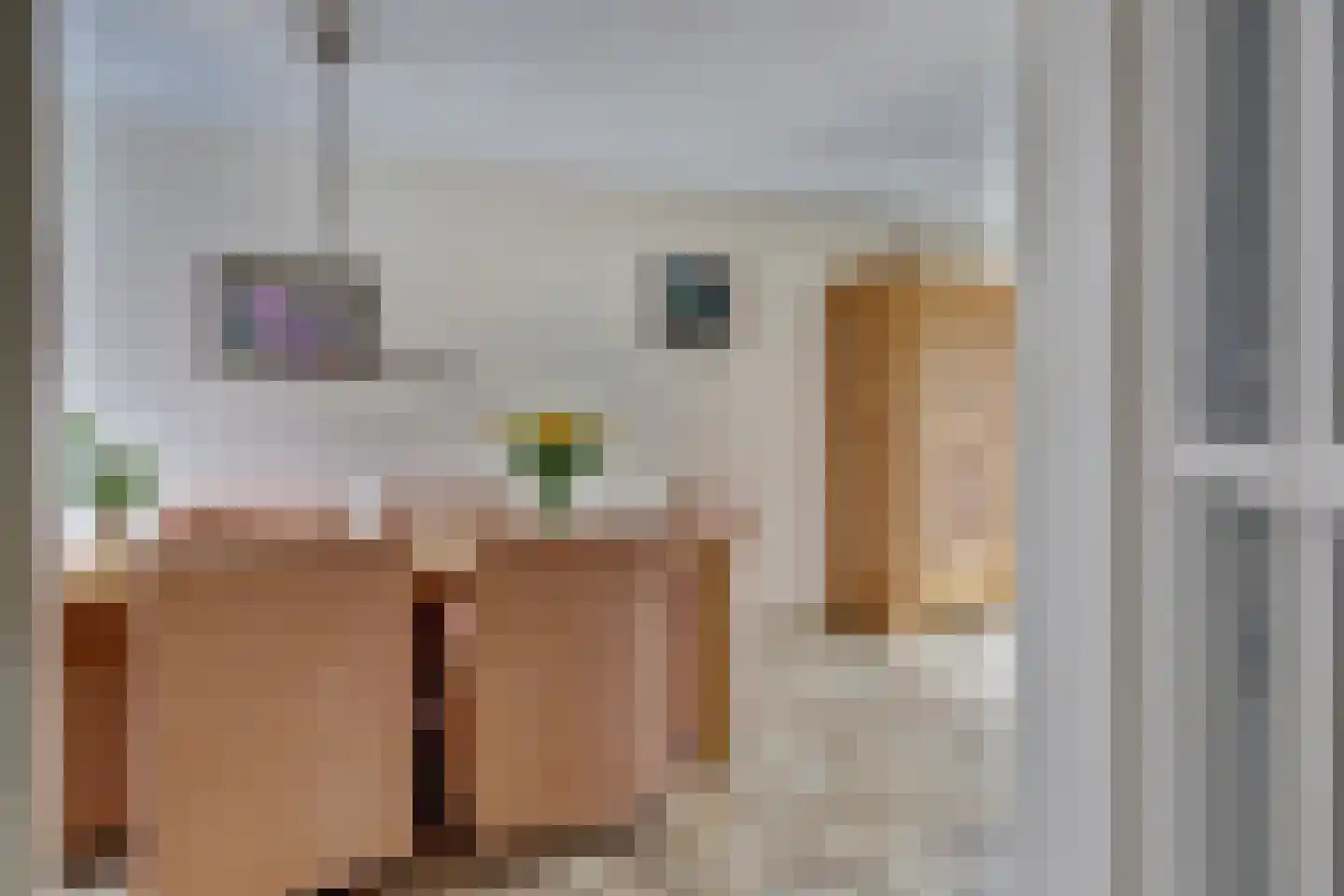 Eikenhof 60 De Lier thumbnail 14