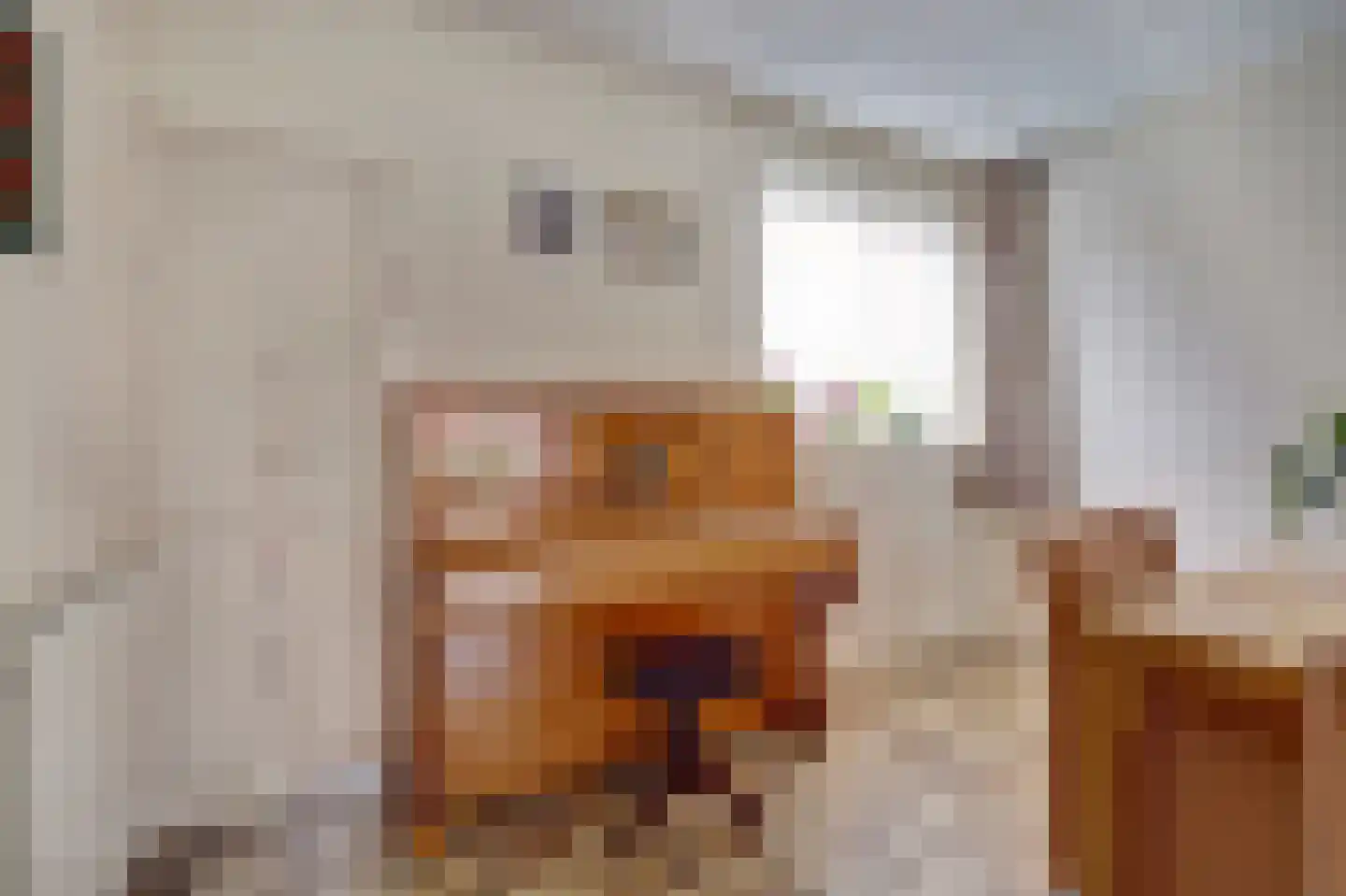 Eikenhof 60 De Lier thumbnail 16