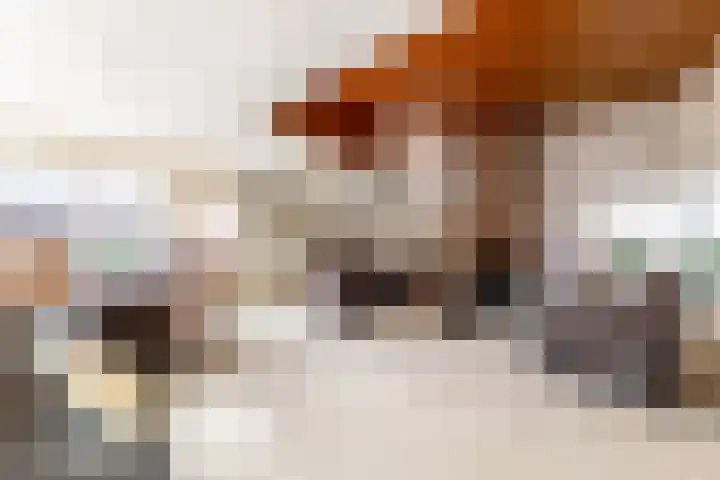Eikenhorst 1 Rockanje thumbnail 12