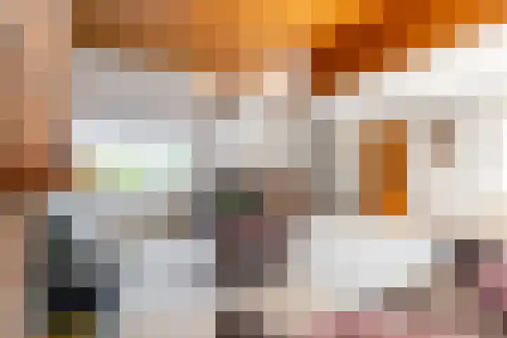 Eikenhorst 1 Rockanje thumbnail 14