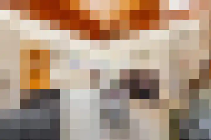 Eikenhorst 1 Rockanje thumbnail 15