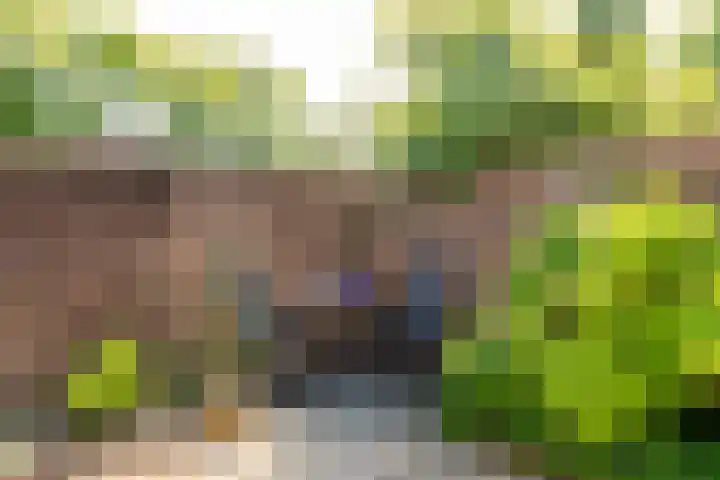 Eikenhorst 1 Rockanje thumbnail 32