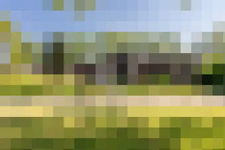 Eikenhorst 1 Rockanje thumbnail 34