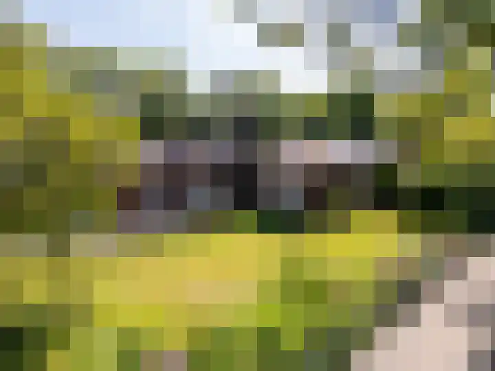 Eikenhorst 1 Rockanje thumbnail 35